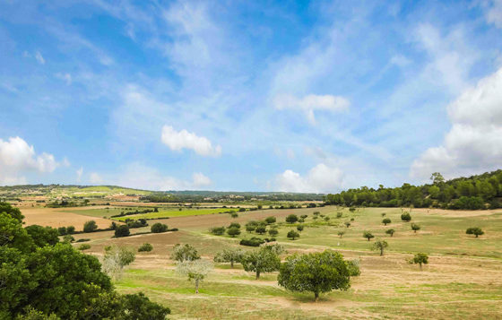 Das Landesinnere von Mallorca