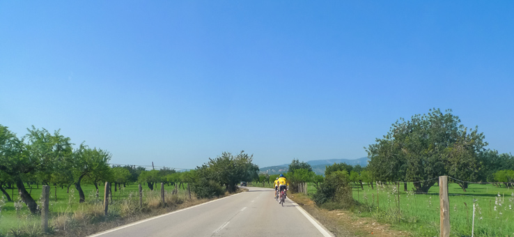 Radfahrer auf Mallorca