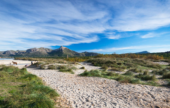 Son Serra de Marina