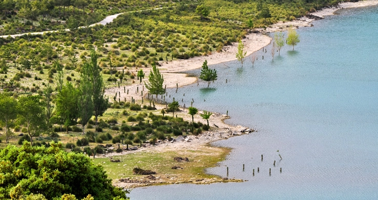 Ufer des Stausees Georg Blau